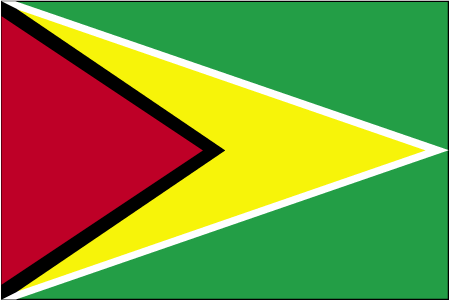 Express Shipping from to Guyana