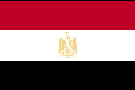 Express Shipping from to Egypt