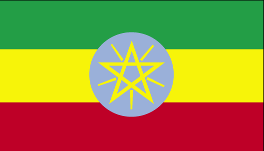Express Shipping from to Ethiopia